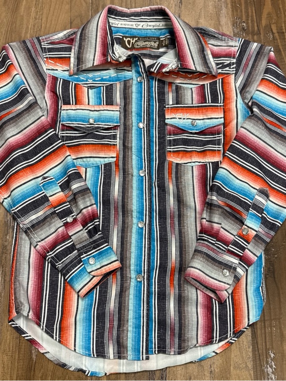 Cowgirl Hardware Multicolor Striped Western Button-Up Shirt